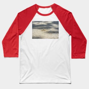 Cute Sand Crab Baseball T-Shirt